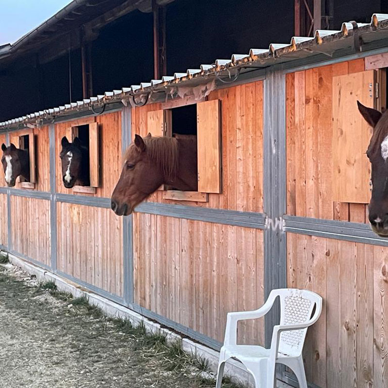 Sunny Ranch | Cavareno | Val di Non | Trentino | Pensione per cavalli
